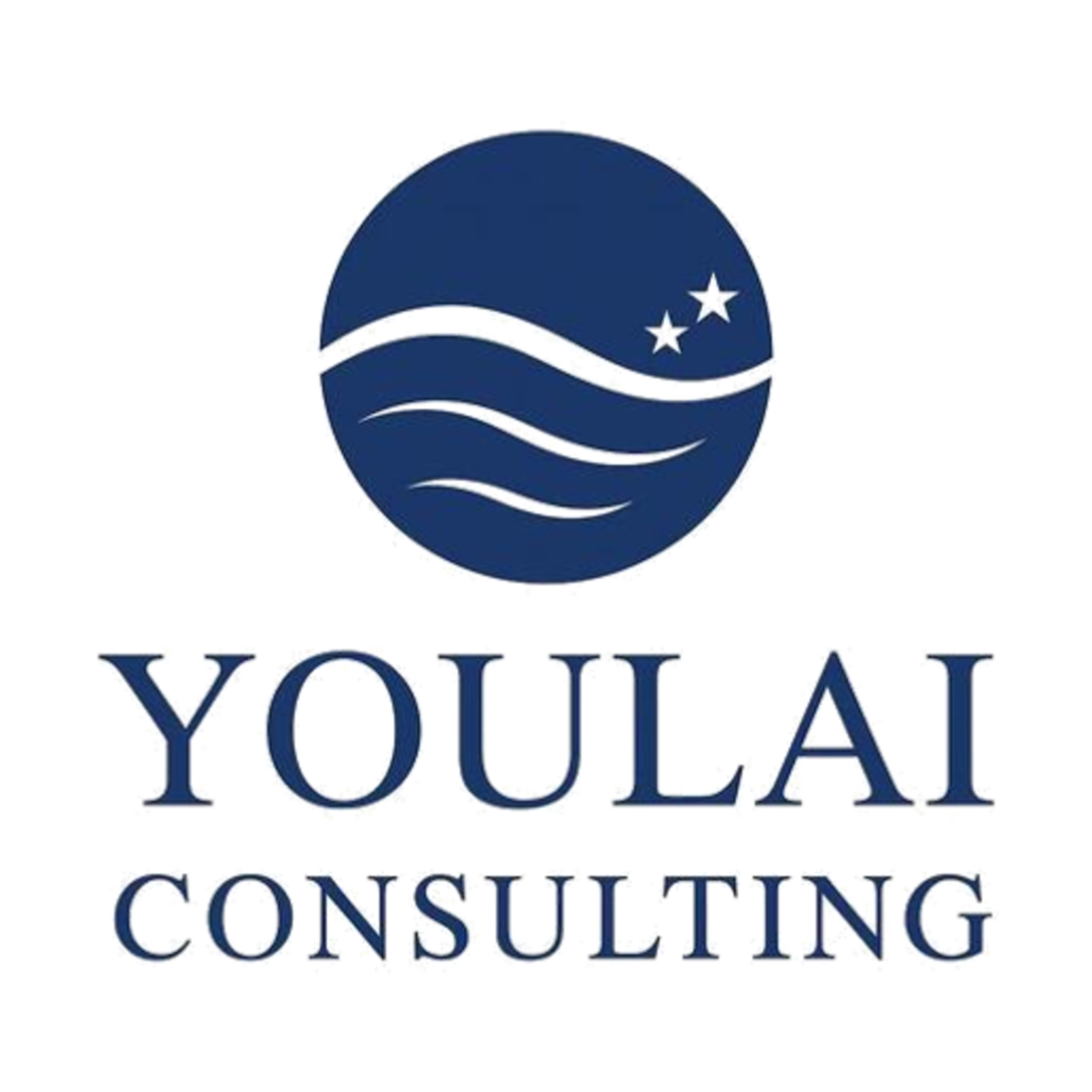 YouLai Consulting